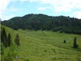 Planina Vodole, cesta pride in gre dalje na desni. Levo se vidi lovska koča.