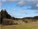 Menina planina 