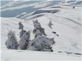 Bašeljski vrh 