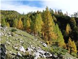 Barvita jesen na planini Zgornja Krma