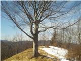 Hleviška planina Vrh Hleviške planine