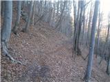 Hleviška planina suha pot....