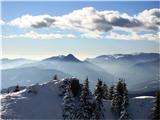 Rogatec, V. planina , Kašni vrh..