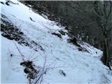 Eden od plazov na poti z Gontarske planine proti Govejku...