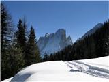 Visoka polica in Lepa glava s sedla