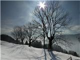 Planina Goreljše se koplje v soncu...