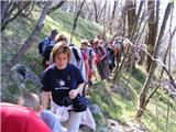 12. tradicionalni pohod na Malo Goro ...strumno in veselo...