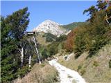 Stržišče - Črna prst