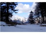 Pogled