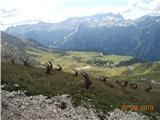 Kraljestvo zlatoroga, zadaj planina Pecol, višje Kanin