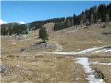 Kraljev hrib - Gradišče (Velika planina)