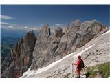 Königsjodler, Hochkönig 