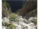 Pot na Okrešelj - nad slapom
