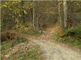 Spodnja Idrija - Gradišče (above Spodnja Idrija)