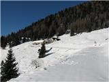 Giro delle Malghe Planina Kraj na dol - Malghe Cregnedul di sopra