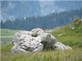 Planina Pecol opazovalec