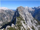 Trentski Pelc z Ribežnov