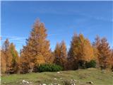 Planina Ravne - Križevnik 