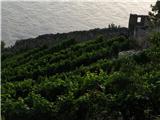 Dürnstein - Vogelberg Tudi vino tam pridelujejo.