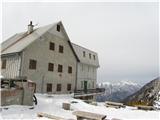 Cojzova koca