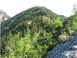 Kališče - Bašeljski vrh-Mali Grintovec-Srednji vrh Bašeljiski vrh