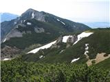 Kališče - Bašeljski vrh-Mali Grintovec-Srednji vrh pogled na srednji vrh