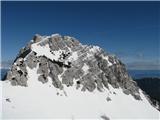 Zelenjak