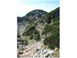 Pogled nazaj