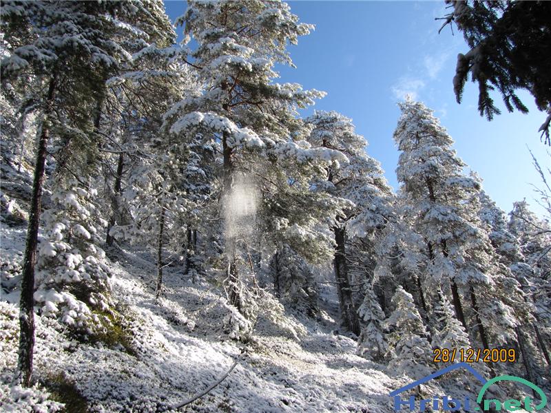  pravljica :D