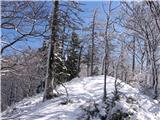 Takole zimsko pa zgleda pot proti Javorjevemu vrhu-po grebenu, lahko gremo tudi desno pod njim.