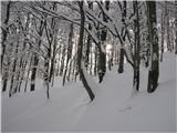 Breginjski (Kobariški) Stol potem sem zavil pa v gozd