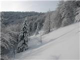 Breginjski (Kobariški) Stol utrinek