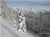 proti Rombonu, Mangrtu, Jalovcu....