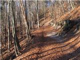 Laško - planina Javornik Proti koči