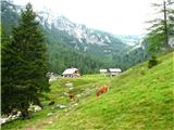 Planina Konjščica