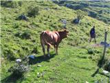 Planina Zaprikraj - Krn