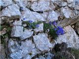 Planina Zaprikraj - Krn