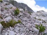 Planina Zaprikraj - Krn