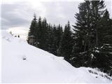 Mali Pečovnik-1640m Med ruševinami pa zavijemo v gozd v cel sneg-naporno in kmalu pridemo do mejnih obeležij.