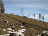 Kapin (Veliki Kopinj) 1736 m in Gorjanski vrh 1693 m blizu vrha