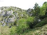 Monte Jovet (1814) vrh je zeleni hrbet levo, sestopil sem po travnati krnici zahodno od grebena