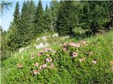 Planina Za Skalo in Kaluder na začetku Travniške doline