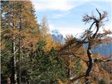 Lipnik - Monte Schenone še ne pogled na Montaž