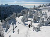 Monte Madrizze in Auernig zdaj pa že na poti na Auernig-Javornik