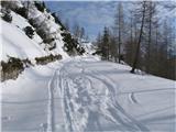 zariši svojo sled umetnik beline
