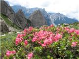 Cima Monfalcon di Montanaia (2548) v idlični krnici je lep pogled na bližnje in dalnje gore