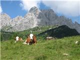 Monte Brentoni prava gorska idila, zadaj M. Brentoni