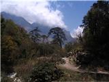 Annapurna Treking Skozi čudovit park rododendronov