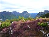 Predel - Cime del Mughi / Nemške glave