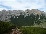 Od Tolste Košute do Košutnikovega turna in potke, ki tudi pripelje nanj